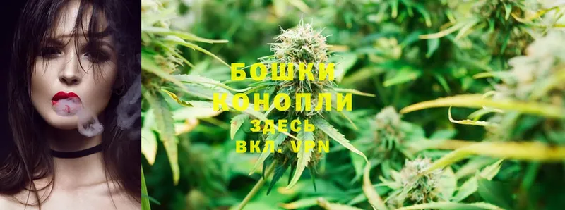 Конопля White Widow  где продают   Алушта 